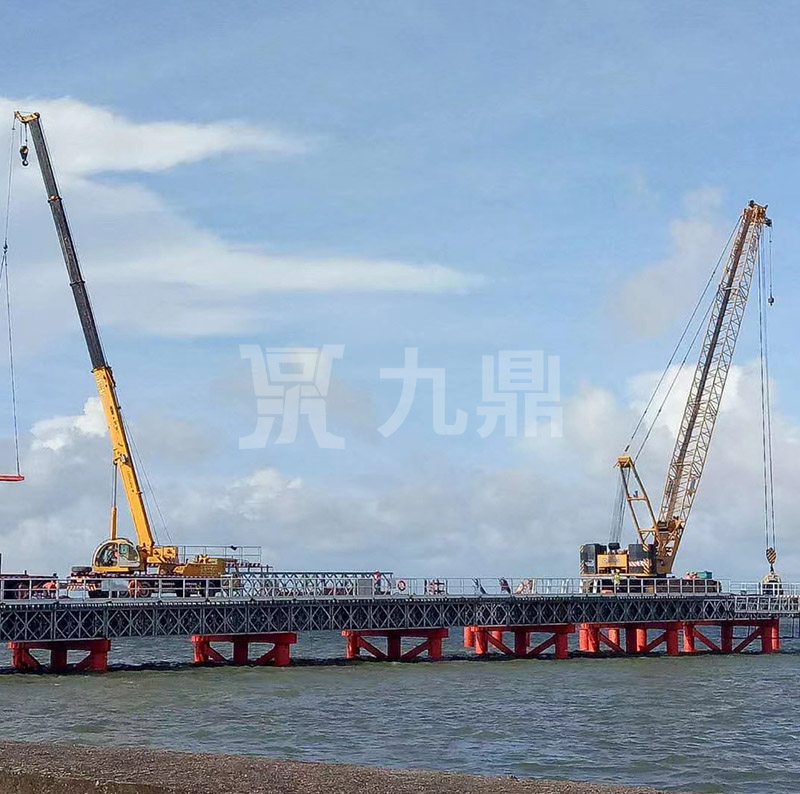 貝(bei)雷片不僅(jin)有(you)結(jie)構(gou)簡(jian)單的優點，而且(qie)牠適(shi)應性很強
